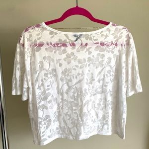 Buffalo David Bitton Sheer Top, Small